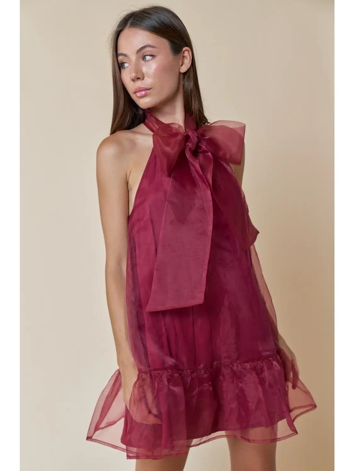 Laine Burgundy Organza Mini Dress
