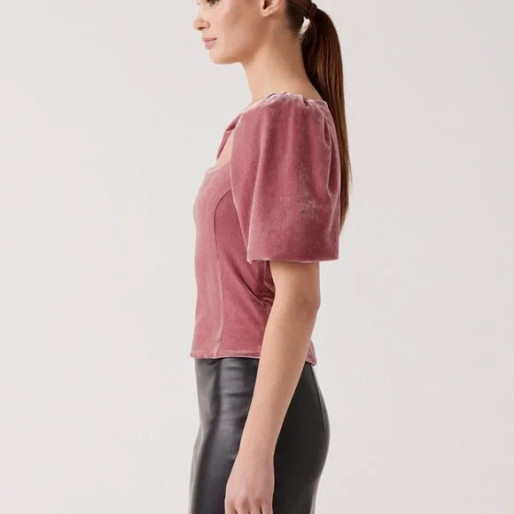Shannon Pink Velvet Top